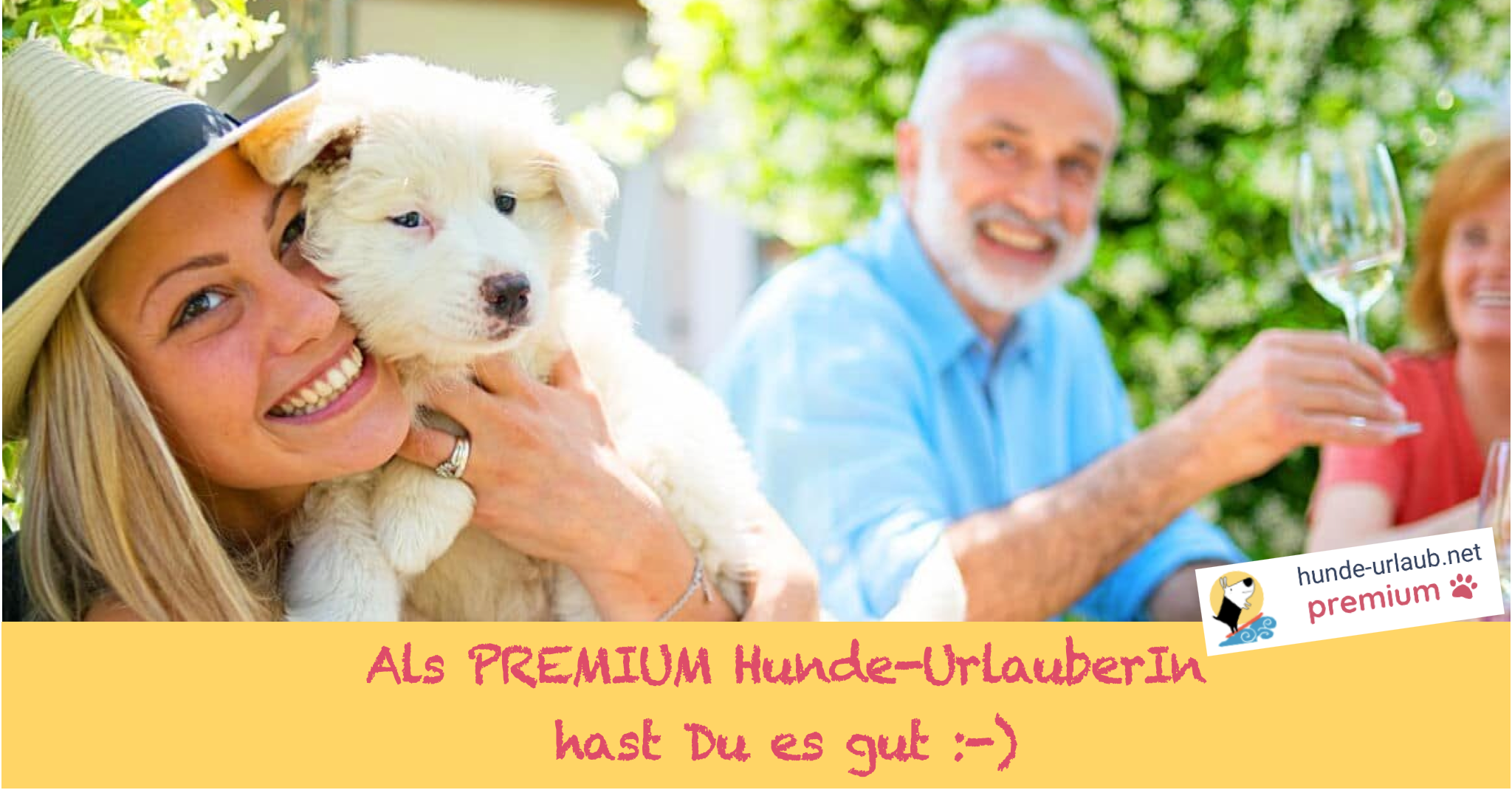 premium-main-visual